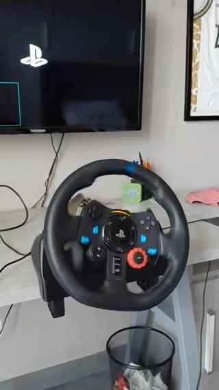 Logitech G29 + Pedaliera