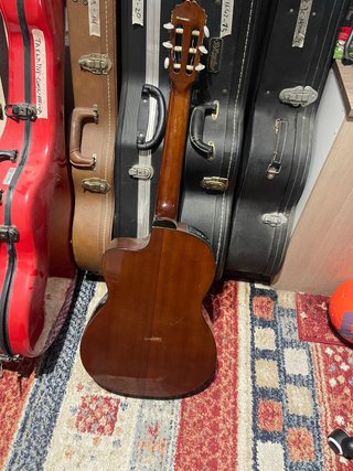 Takamine EG124C Electro Nylon Guitarra