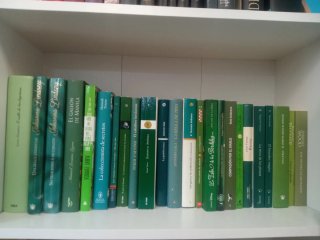 Novelas y libros ecónomicos Benimaclet