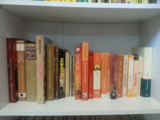 Novelas y libros ecónomicos Benimaclet