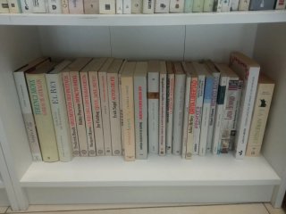 Novelas y libros ecónomicos Benimaclet