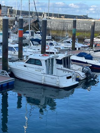 Starfisher 840 WA