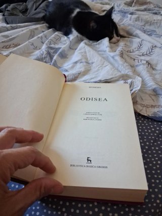 Odisea
