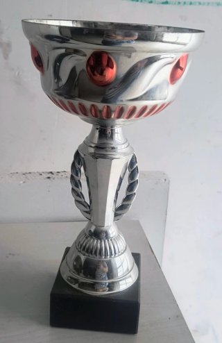 Trofeo de plata con detalles rojos
