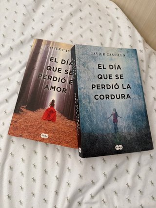 El día que se perdió el amor