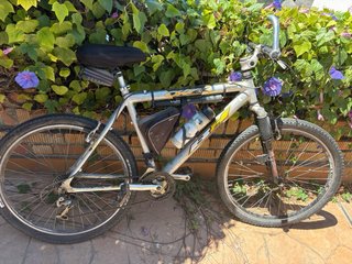 Bicicleta de Montaña
