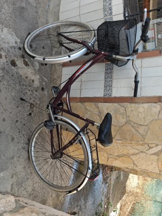 Bicicleta Paseo Mujer
