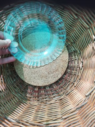 Cesta mimbre con plantas