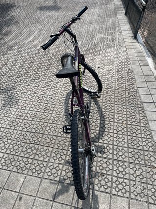 Bicicleta BH Missouri Morada