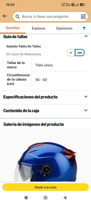 Casco de doble lentes para adultos