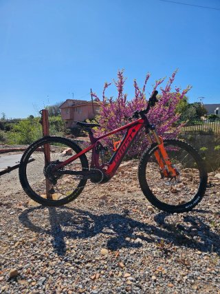Bici Mtb Ghost Carbono 29