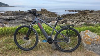 Bicicleta Eléctrica Gris