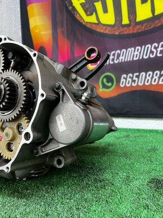 Bloque motor Yamaha Warrior 350
