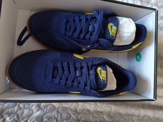 Zapatillas Nike Azul y Amarillo