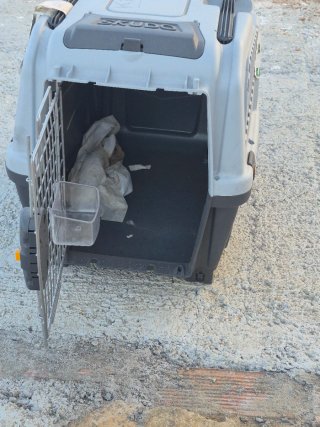 Transportín Perro IATA Negro/Gris