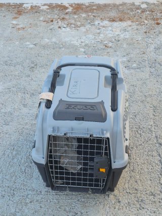 Transportín Perro IATA Negro/Gris