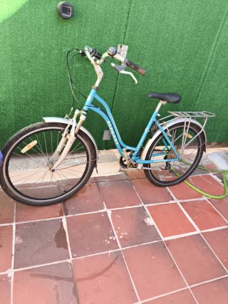 Bicicleta Paseo Adulto Azul
