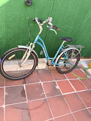 Bicicleta Paseo Adulto Azul