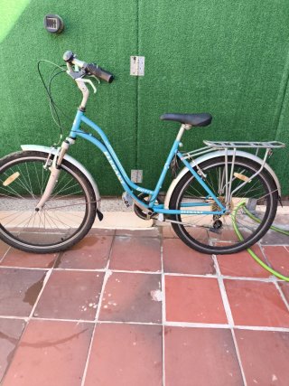 Bicicleta Paseo Adulto Azul