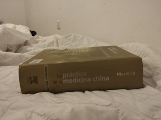 La práctica de la medicina china, 2a ed.
