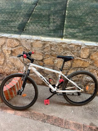 Bicicleta Infantil Rueda 24