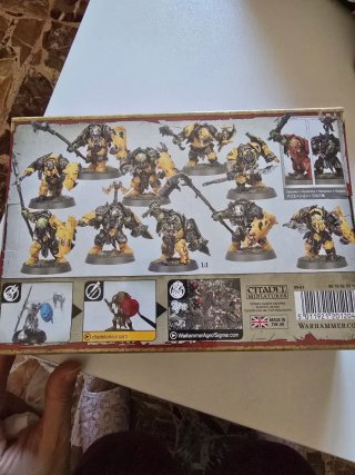 Warhammer Age of Sigmar Orruk Ardboys