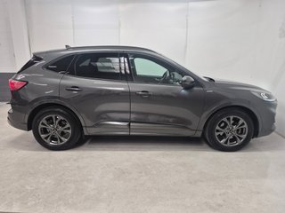 FORD KUGA STLINE 1.5 ECOBLUE 120CV MANUAL