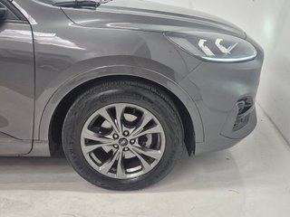 FORD KUGA STLINE 1.5 ECOBLUE 120CV MANUAL