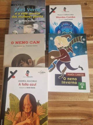 Libros lectura Gallego 1°-2° ESO