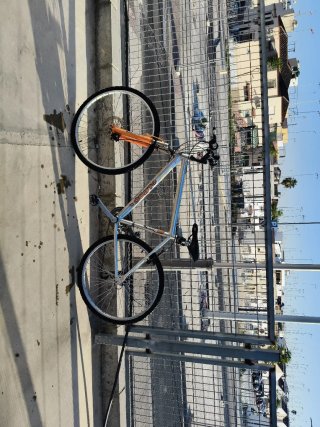 Bicicleta color plateado marca LITOO