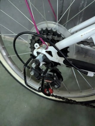 Bicicleta infantil niña 20"