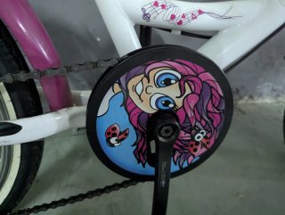 Bicicleta infantil niña 20"