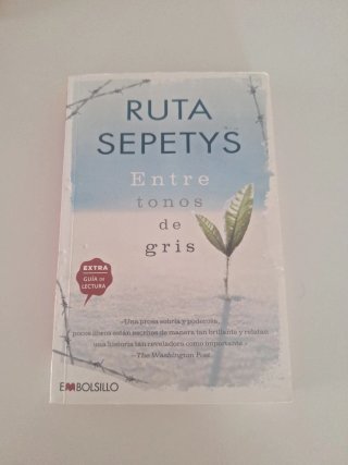 Entre tonos de gris