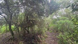 Terreno en venta en Pinar de los Franceses - Marquesado en Chiclana de la Frontera