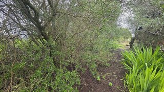 Terreno en venta en Pinar de los Franceses - Marquesado en Chiclana de la Frontera