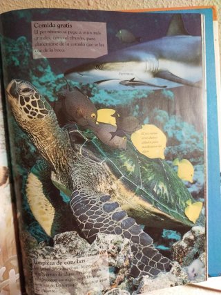 Libro OCÉANOS
