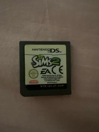 The Sims 2 Nintendo DS Gioco