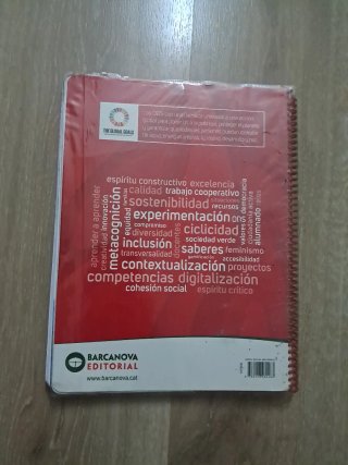 Lengua castellana, 4 Educación Primaria, Progra...