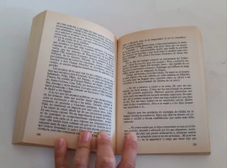 Yo, el rey