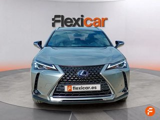 Lexus UX 300e Business