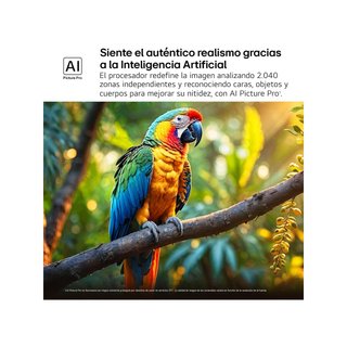 LG 55QNED84A6C televisor 55" 4K inteligente