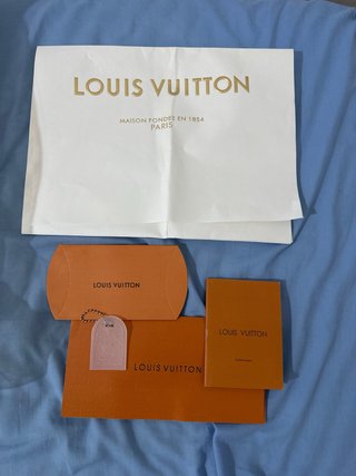 Zapatillas Louis Vuitton Skate Grises