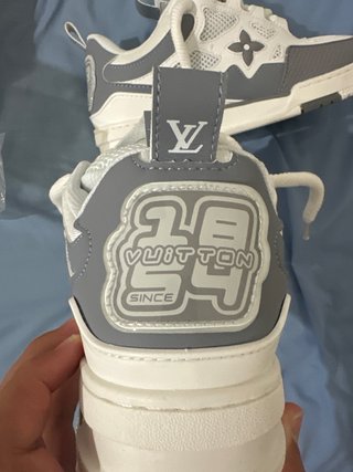 Zapatillas Louis Vuitton Skate Grises