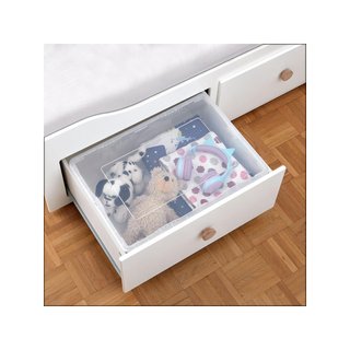 Grizzly cajas transparentes apilables ventiladas
