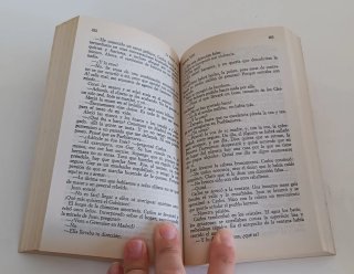 Los Gozos y las sombras
