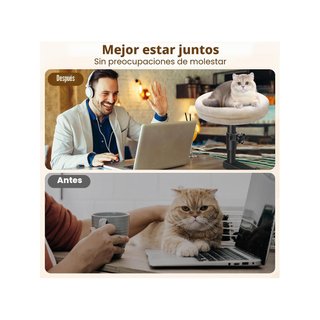 Windspeed cama gato escritorio ajustable 360°