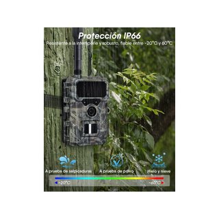 Rollei 32GB cámara de caza 4G 4K visión nocturna