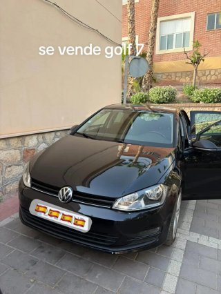 golf golf 2013