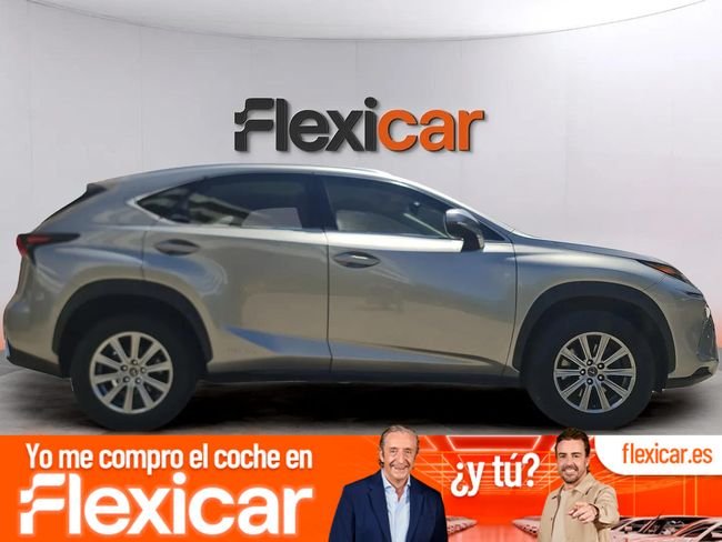 Lexus NX 2.5 300h Business 2WD - foto 1