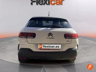 Citroën C4 Cactus BlueHDi 100 S&S Feel